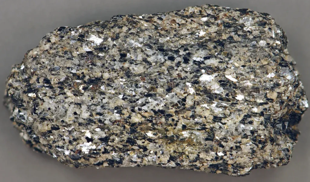 Outcrop of foliated schist on Manhattan Island in New York City
