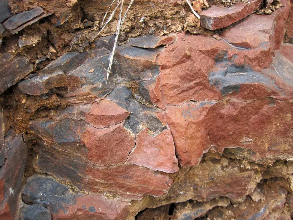 Road cut through dark, thinly layered taconite of the Biwabik Iron Formation at Chisholm, Minnesota