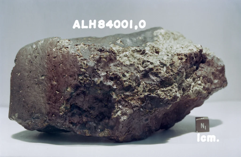 The Martian meteorite Allan Hills 84001 photographed in the laboratory beside a scale cube