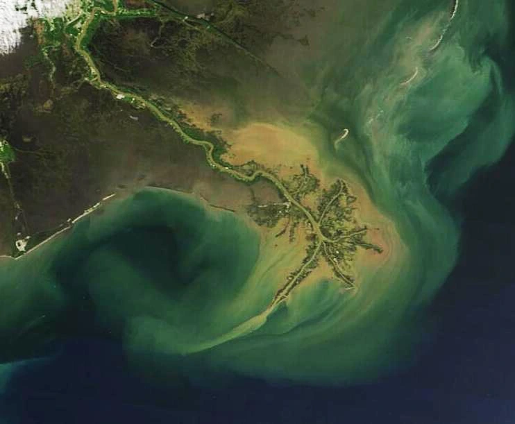 Satellite image of the Mississippi River Delta showing the bird's-foot distributary network discharging brown sediment-laden water into the Gulf of Mexico