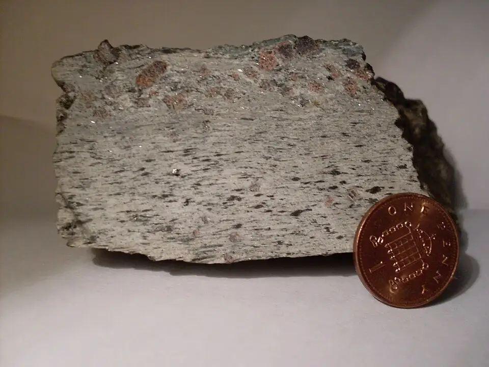 Dark red garnet porphyroblasts embedded in silvery mica schist with a coin for scale
