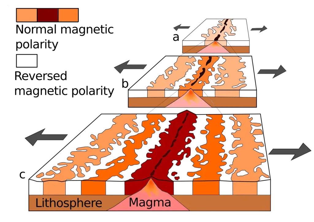 Diagram of symmetrical magnetic stripes forming on both sides of a mid-ocean ridge as the sea floor spreads