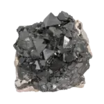 Black octahedral magnetite crystals on pale rock matrix (magenetite)