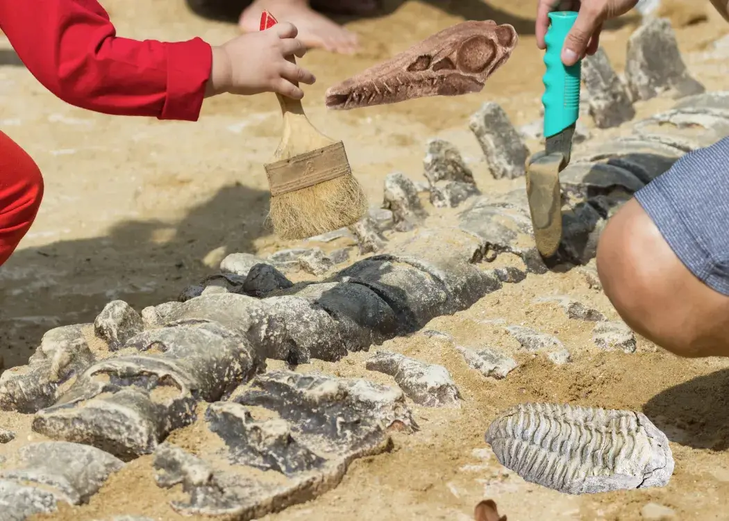 People excavating dinosaur fossils in sandy ground