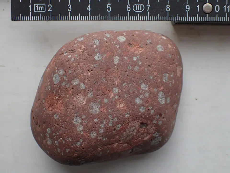 Rapakivi granite from Finland showing ovoidal K-feldspar phenocrysts mantled by plagioclase
