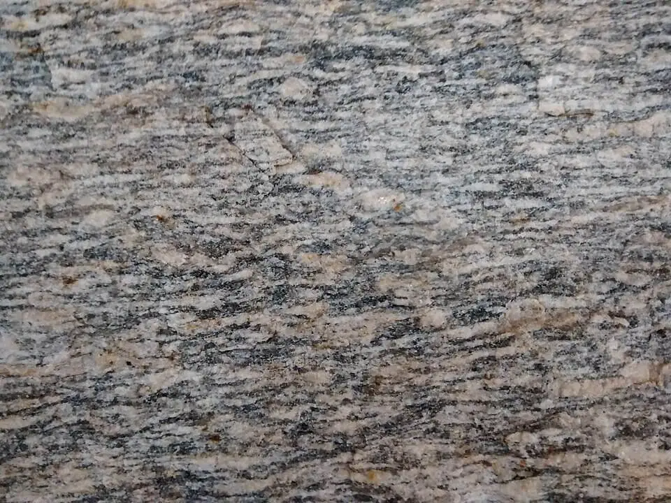 Augen gneiss specimen with large eye-shaped feldspar porphyroclasts in a darker biotite-rich foliated matrix