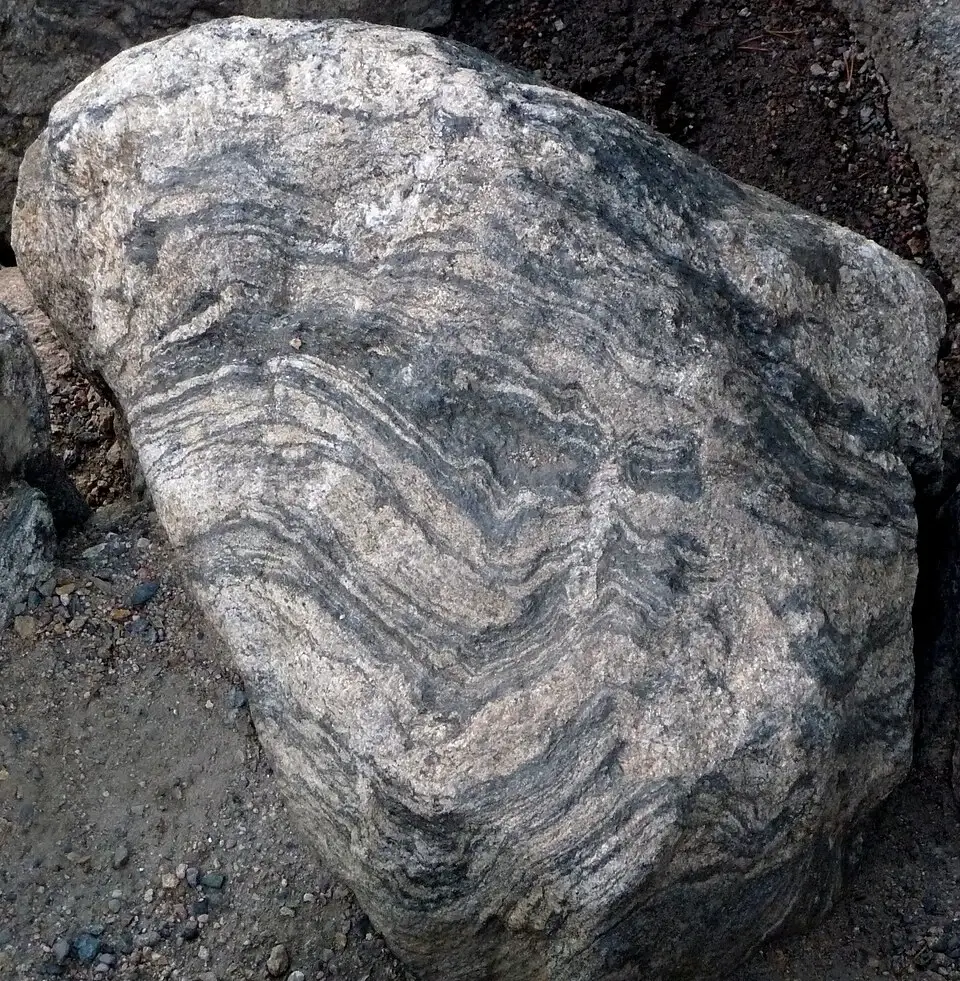 Banded gneiss outcrop near Bear Lake, Rocky Mountain National Park, showing alternating light and dark mineral bands