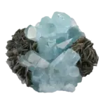 Blue beryl crystals with dark gray barite rosettes