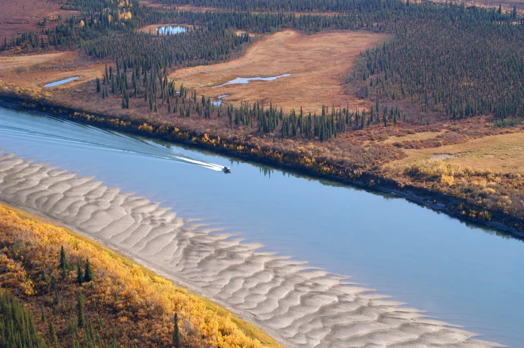 Barca que navega por un río entre bosques otoñales (río Kobuk)