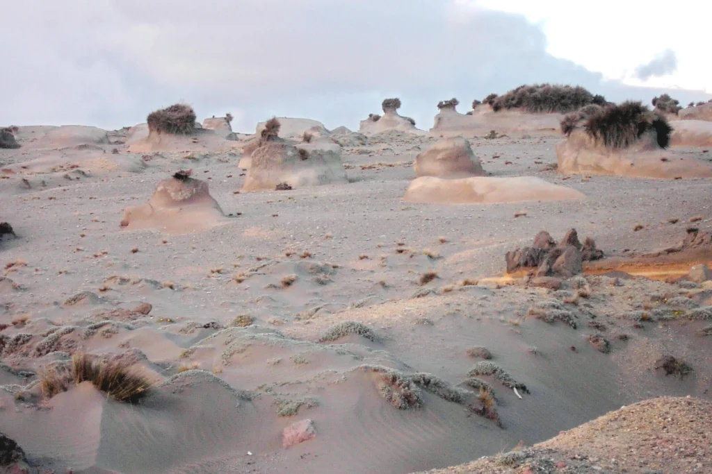 Formaciones rocosas erosionadas por el viento en un paisaje desértico (procesos eólicos)