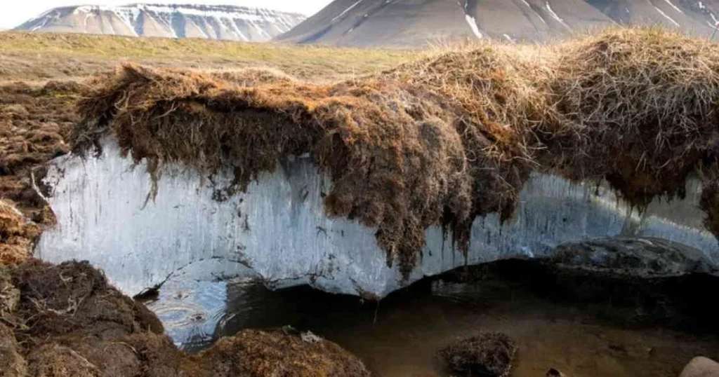 Capa de permafrost expuesta en un paisaje ártico