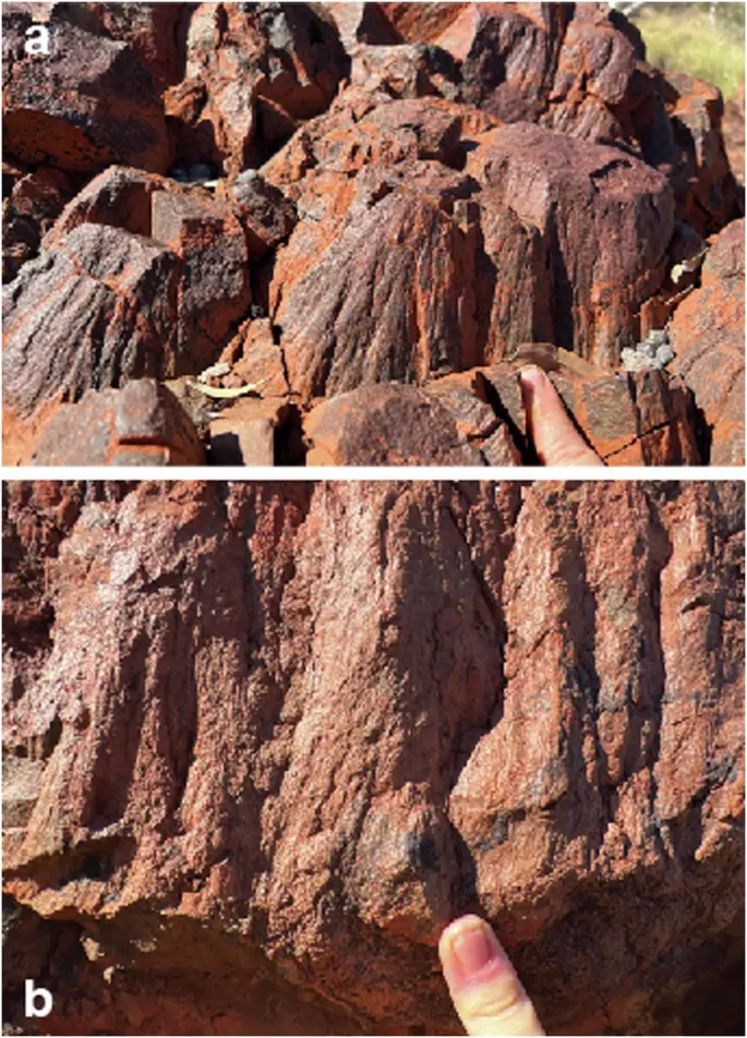 Two field photographs of metre-scale striated conical fractures protruding from outcrop in the Antarctic Creek Member.