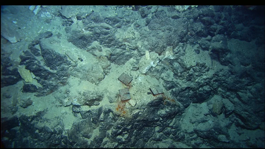 Pale carbonate chimney of the Lost City Hydrothermal Field lit by a remotely operated vehicle in the deep Atlantic