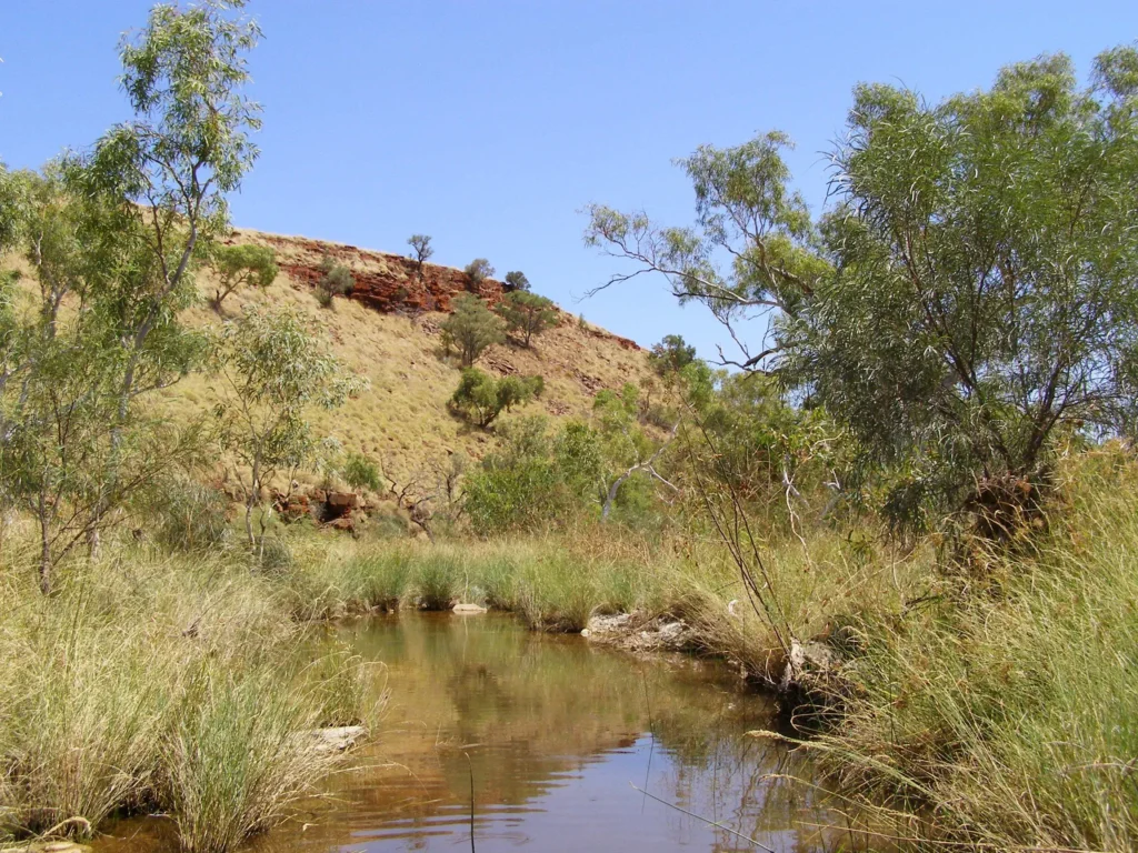 Red-rock escarpments of the Hamersley Range in the Pilbara region of Western Australia, the inland edge of the margin where Argoland rifted away 155 million years ago