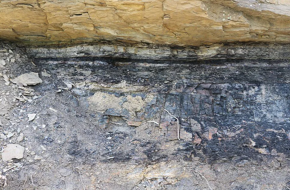 K-Pg boundary clay visible as a pale band between darker sedimentary layers in outcrop at Trinidad Lake State Park, Colorado