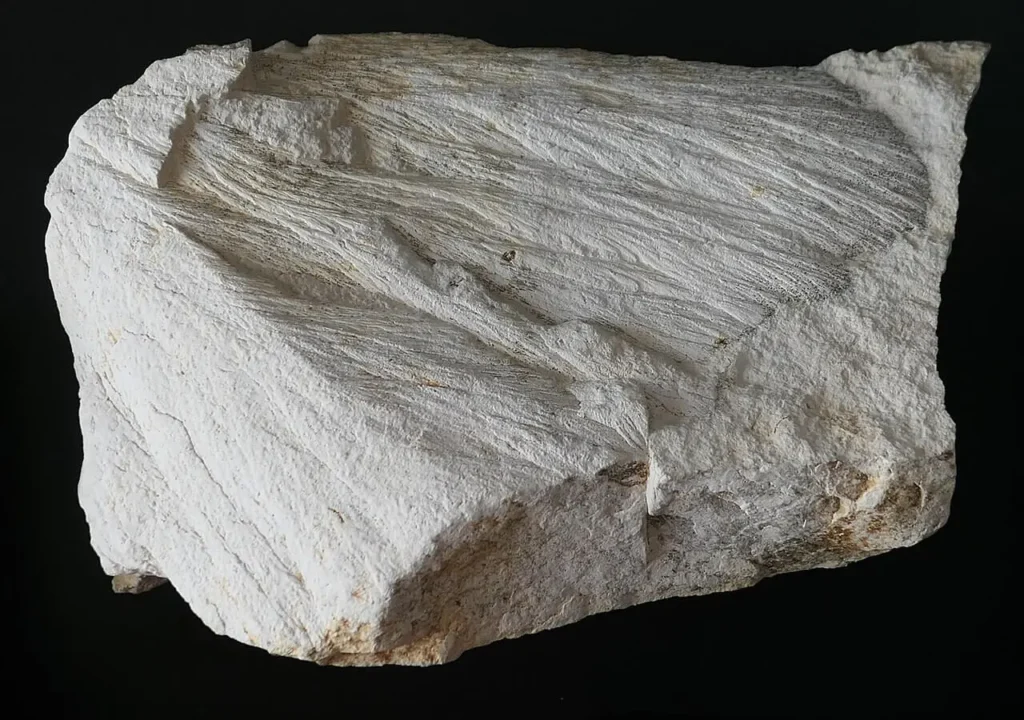 A striated conical fracture surface in pale limestone from the Steinheim Basin, Germany, showing the radiating-cone pattern that defines shatter cones.