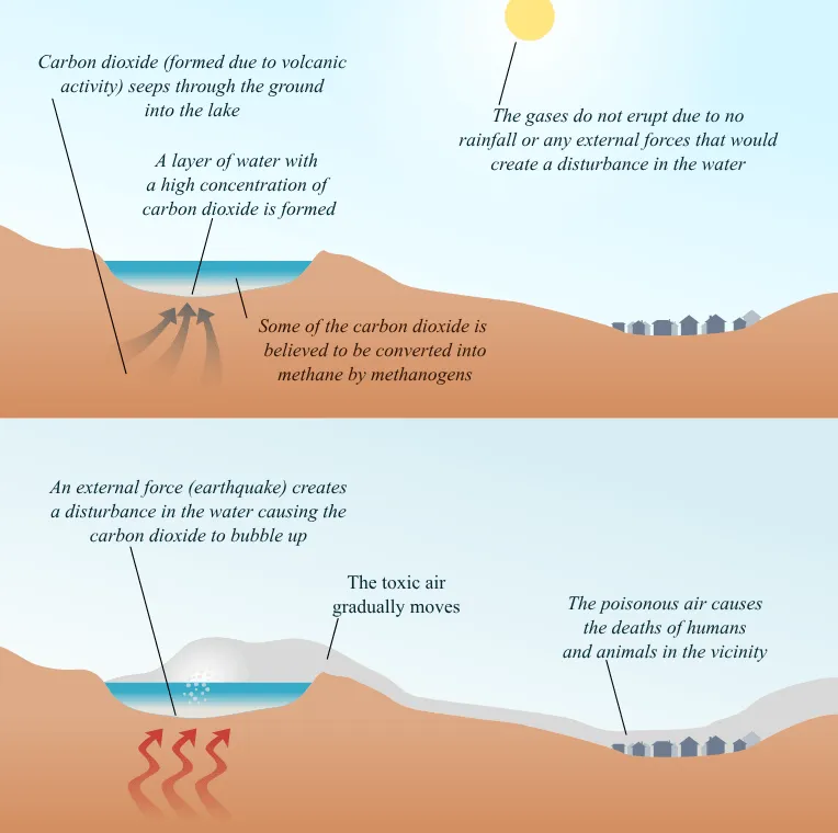 Diagram of a limnic eruption: carbon dioxide saturates the deep water of a lake until a trigger lifts it, the gas exsolves, and a dense cloud flows over the shore