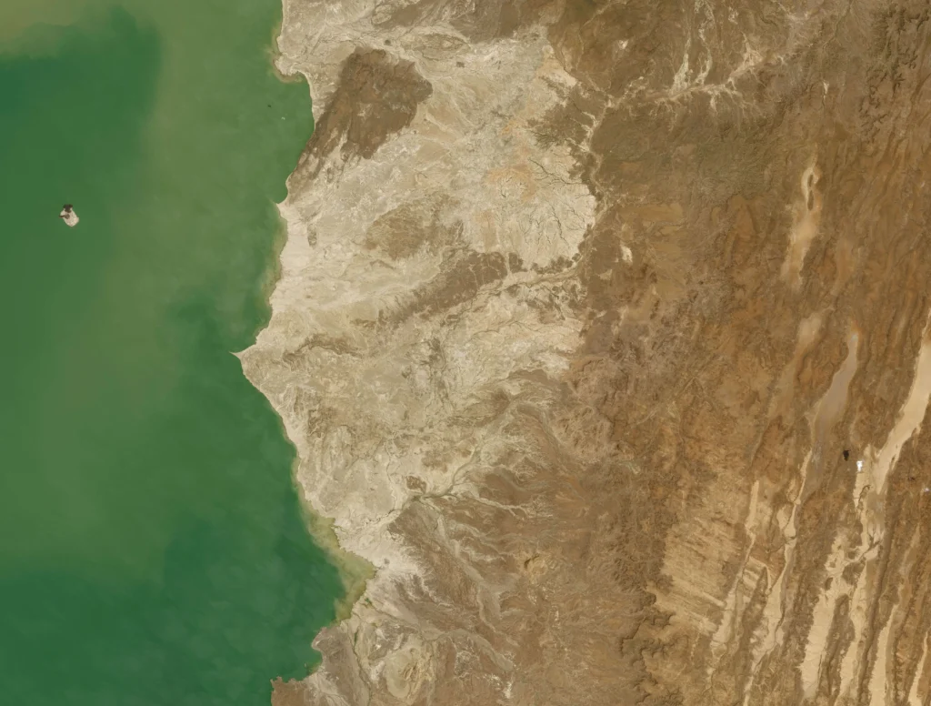 Landsat satellite image of Koobi Fora ridge on the east shore of Lake Turkana, Kenya — the rift-basin sedimentary archive that has yielded Turkana Boy, KNM-ER 3733, and more than 200 other early human fossils.