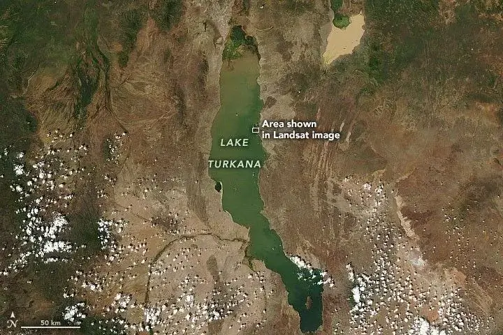 Satellite image of Lake Turkana in northern Kenya, a long jade-green lake stretching south to north through the arid Turkana Rift segment of the East African Rift System.