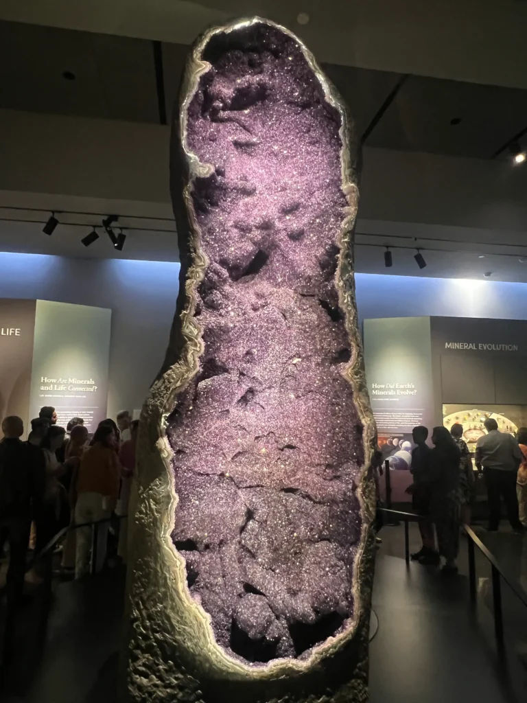 Large open amethyst geode lined with deep purple quartz crystals