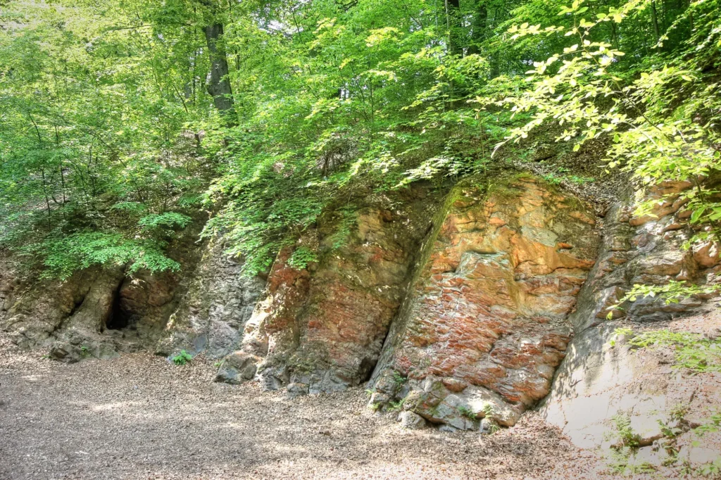 Rock openings at the Brennender Berg coal-seam fire near Dudweiler, Germany, where warm air seeps out