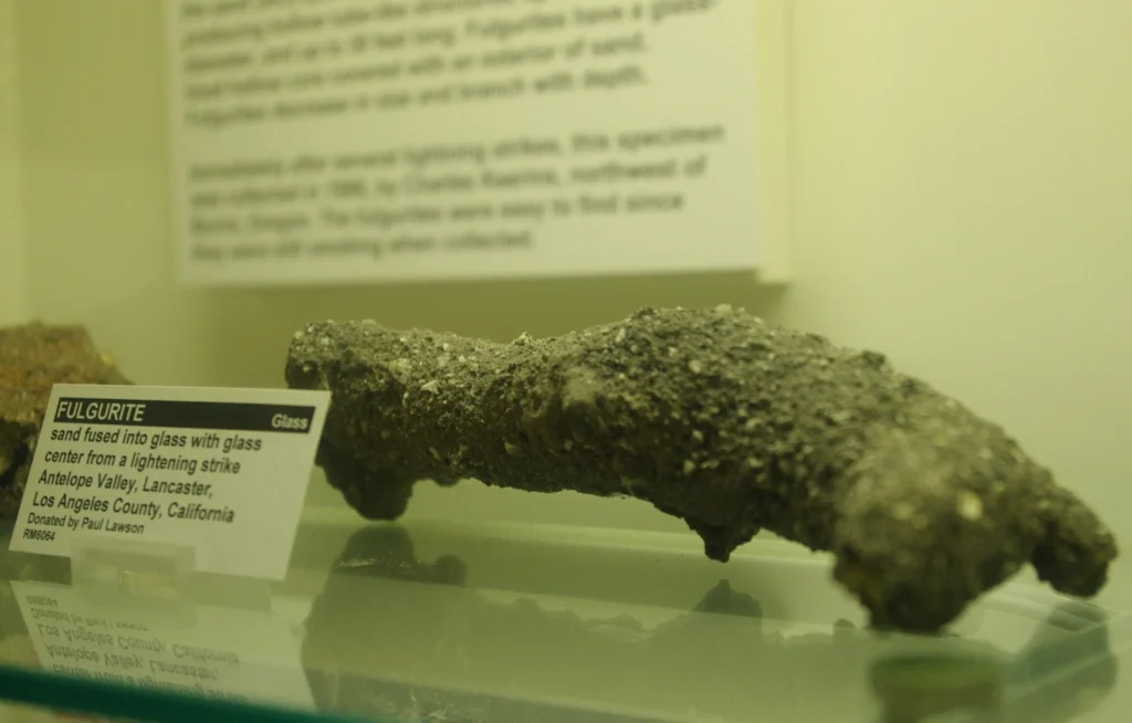 A branching, tube-shaped fulgurite of fused sand displayed on a stand in a museum case