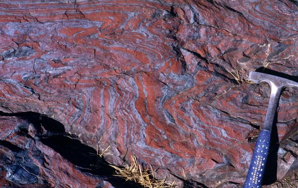 Polished jaspilite hand specimen showing folded bright red jasper and silvery hematite bands