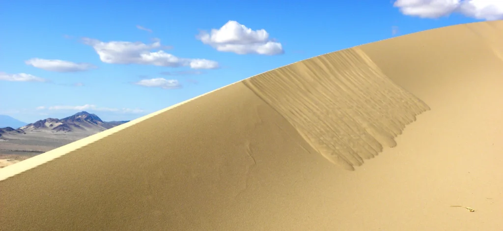 Fresh sand avalanche deposits cascading down the steep slip face of the Kelso Dunes in the Mojave Desert