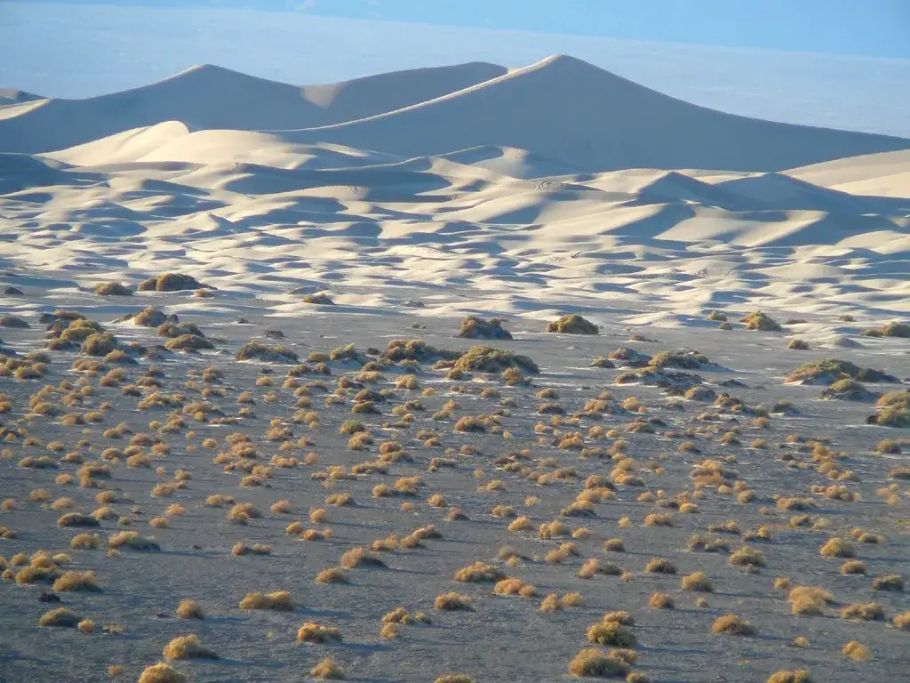 Large desert sand dunes with sharp crests and steep lee faces in Death Valley, an example of singing sand dune terrain