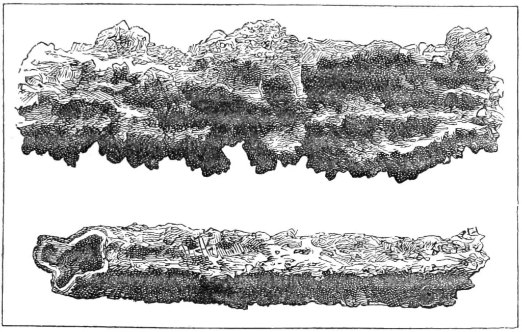 Nineteenth-century engraving showing branching fulgurite tubes formed by lightning vitrifying sand underground