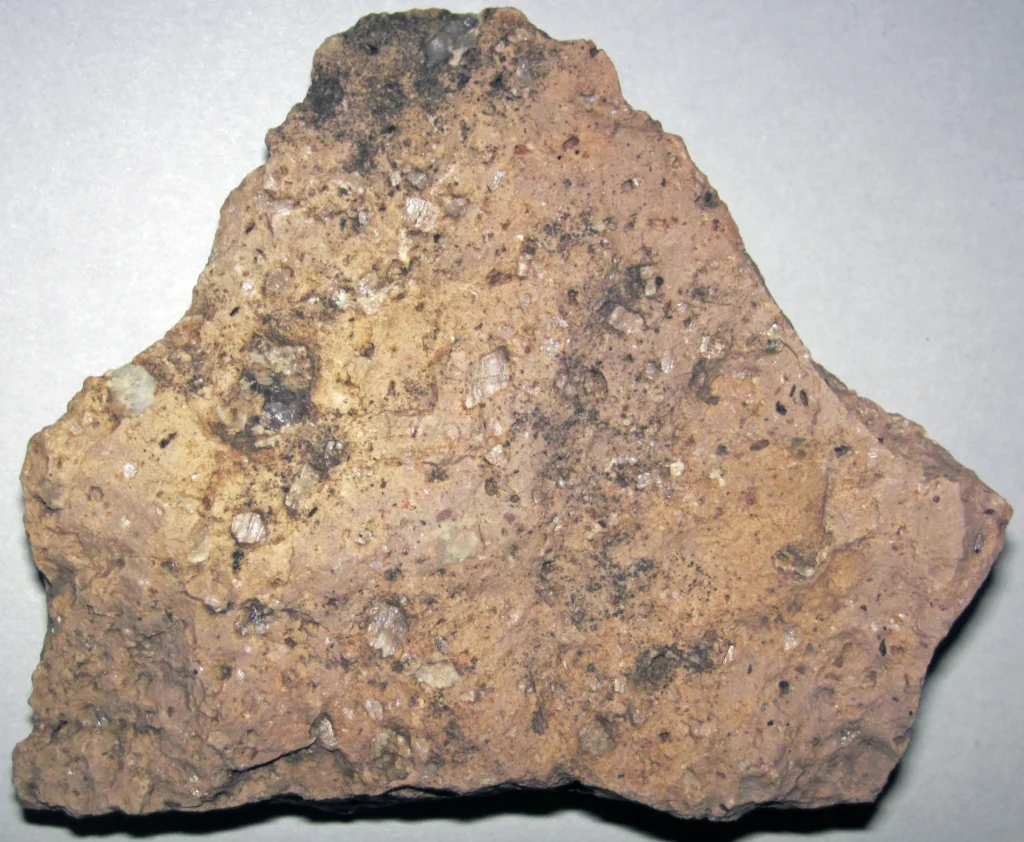 Specimen of welded volcanic tuff showing compacted ash and rock fragments