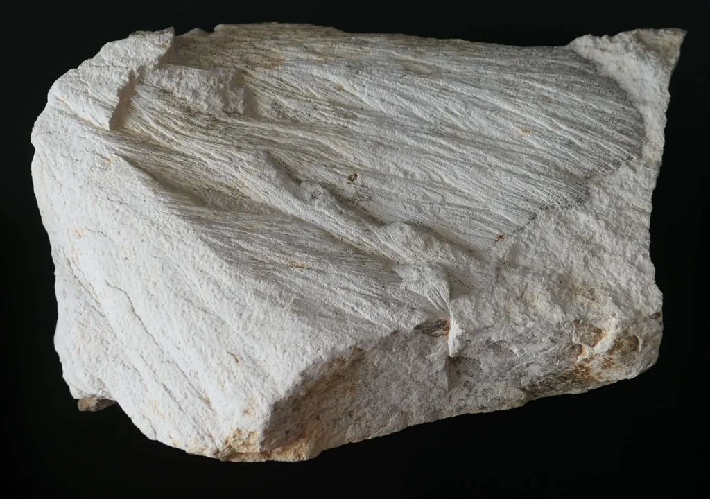 Close-up of a shatter cone in rock showing the characteristic radiating, fan-like striated fracture pattern