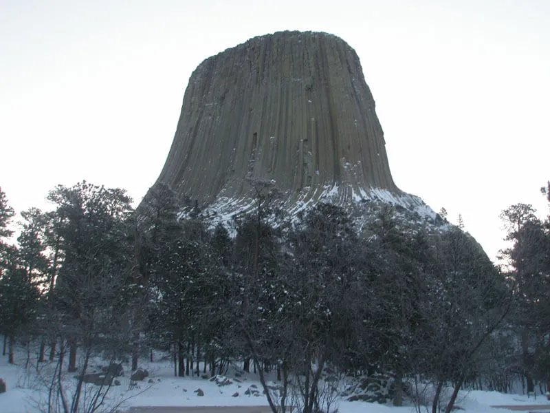 Striated columnar joints on the flank of Devils Tower, Wyoming.