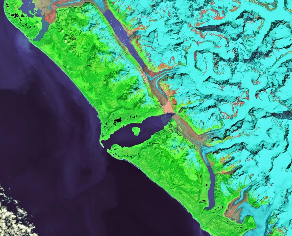 False-color Landsat 8 satellite view of T-shaped Lituya Bay, Alaska, with lighter-green younger forest tracing the 1958 megatsunami trimline along the shorelines