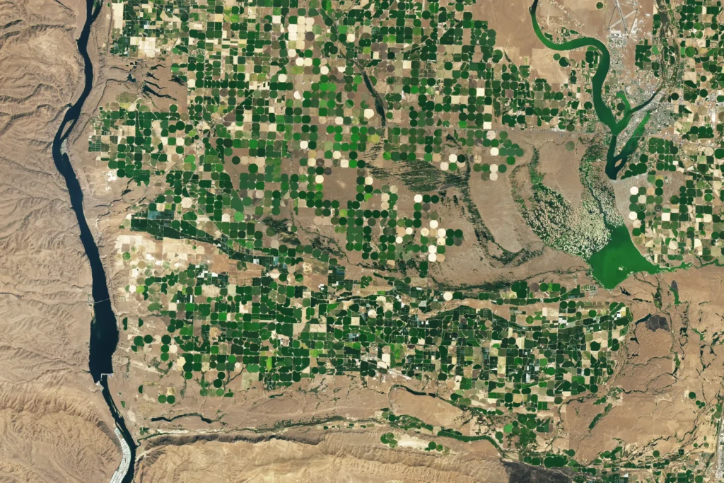 Landsat satellite image of Potholes Coulee, a double horseshoe-shaped cataract canyon cut into the basalt of eastern Washington by Ice Age floodwater.