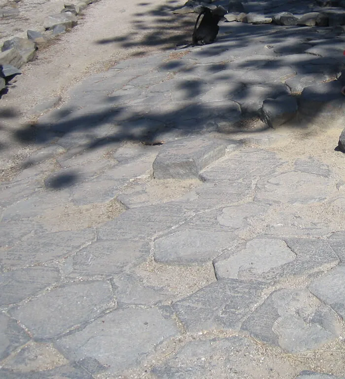 Glacially polished tops of hexagonal basalt columns at Devils Postpile.