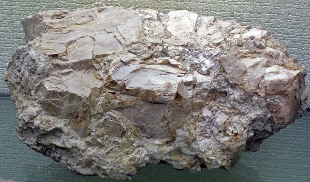 Angular fragments of pale dolostone cemented together in the Mackinac Breccia at a road cut near St. Ignace, Michigan