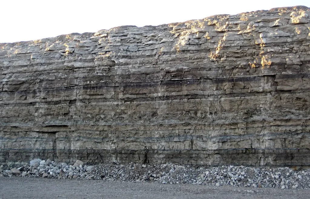 Quarry wall showing grey Dundee Limestone lying on top of paler Lucas Dolomite near Junction, Ohio