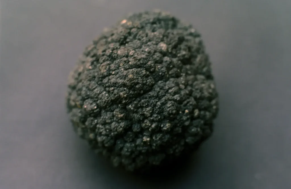 Studio close-up of a single polymetallic manganese nodule