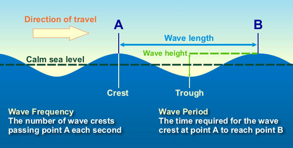 Diagram labeling the crest, trough, wave height, and wavelength of an ocean wave