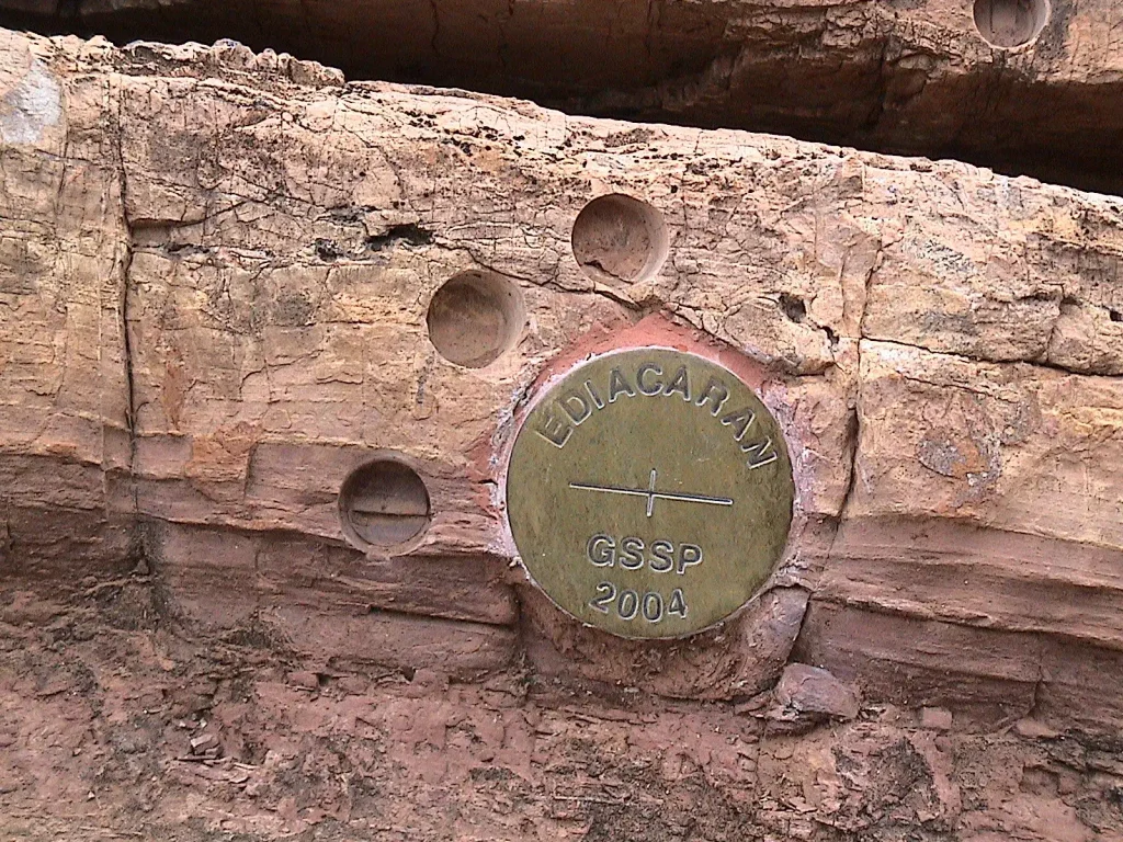 The golden spike marking the base of the Ediacaran Period at Enorama Creek, Flinders Ranges, South Australia