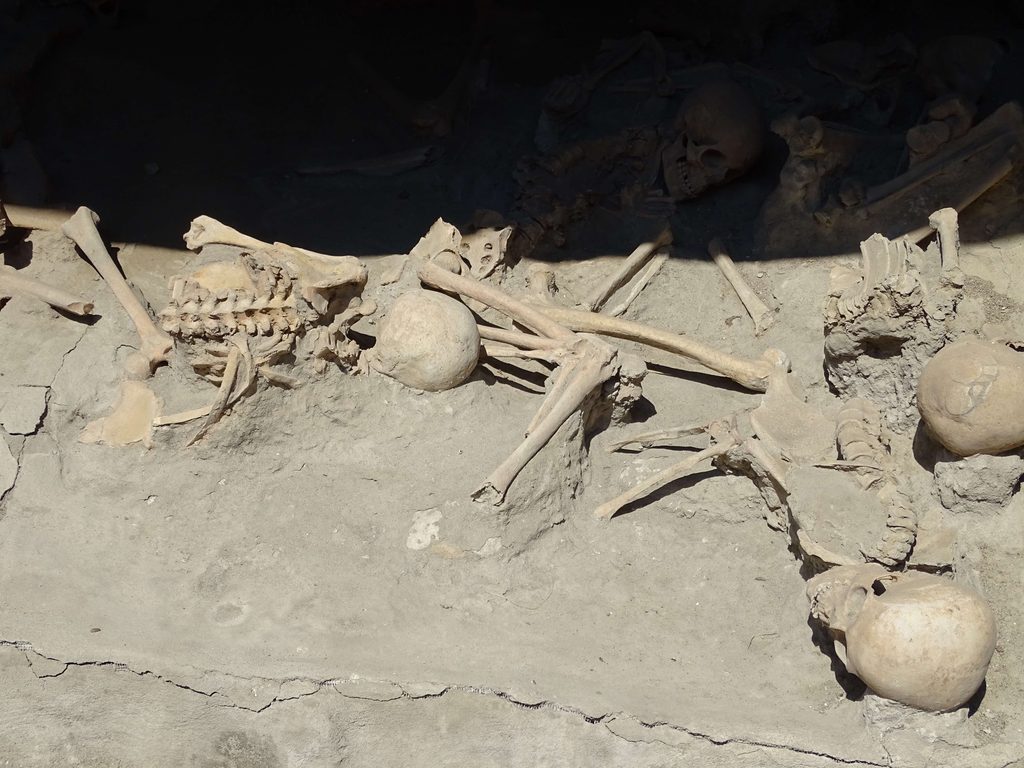 Close view of human skeletons in a boat house chamber at Herculaneum