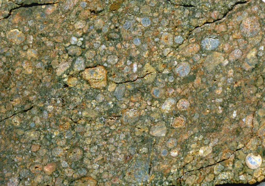 A stony chondrite meteorite, a primitive sample of the material that formed the rocky planets including Earth