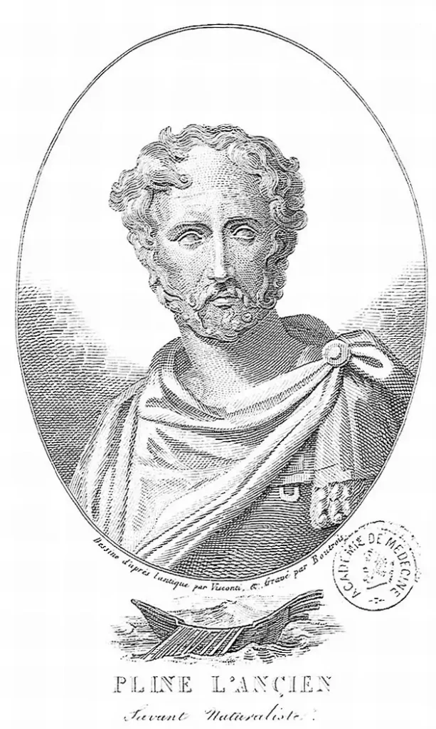 Engraved portrait of Pliny the Elder