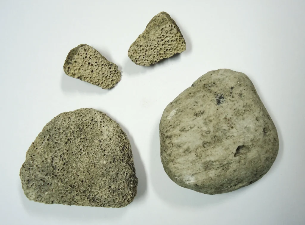 Several light-colored porous pumice stones